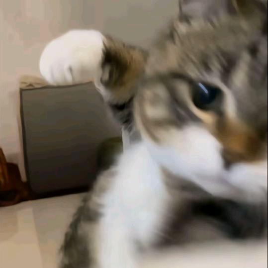 想