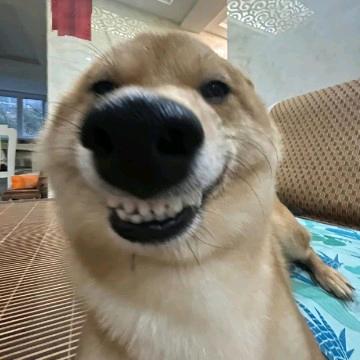LSY