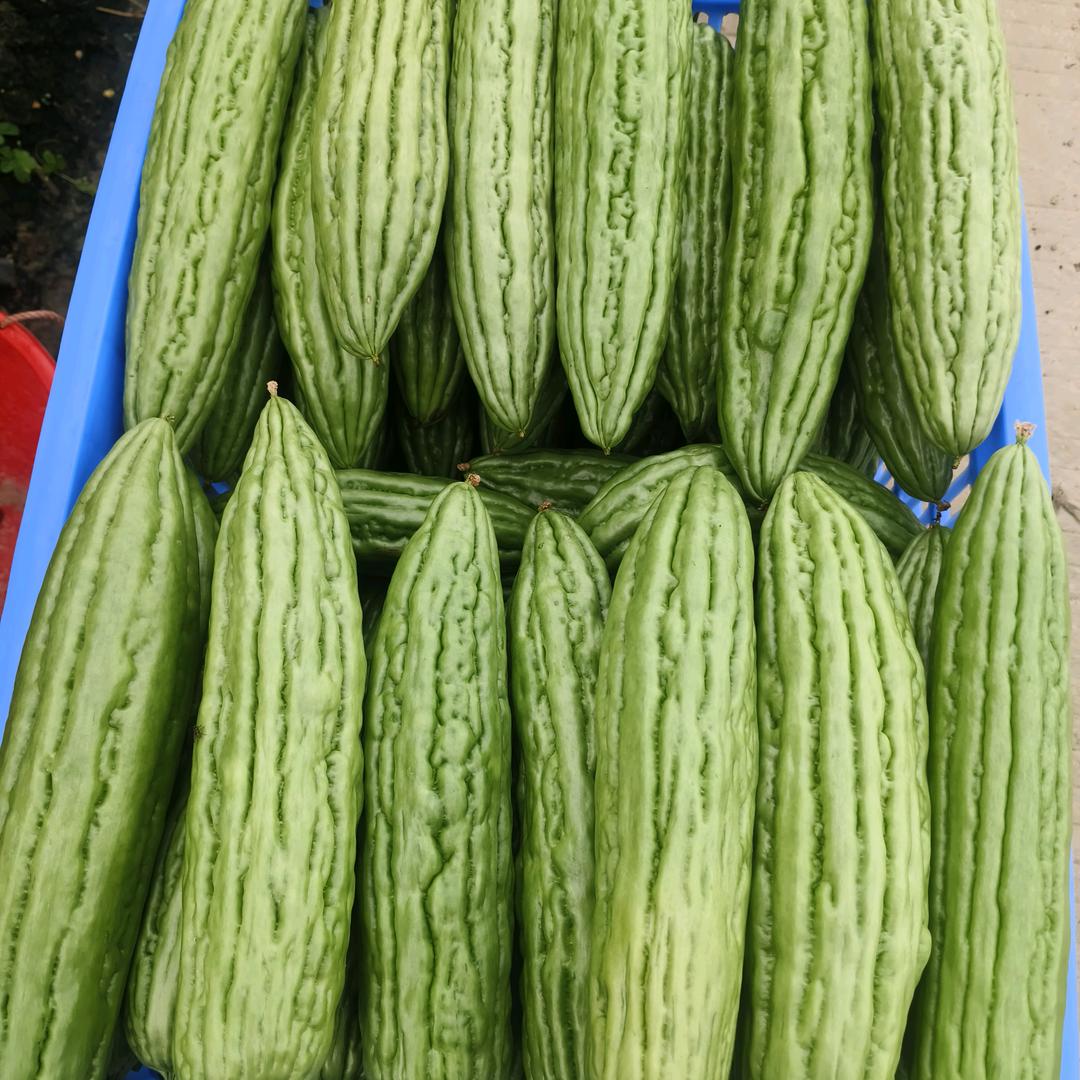 知恩图报！不忘初心！