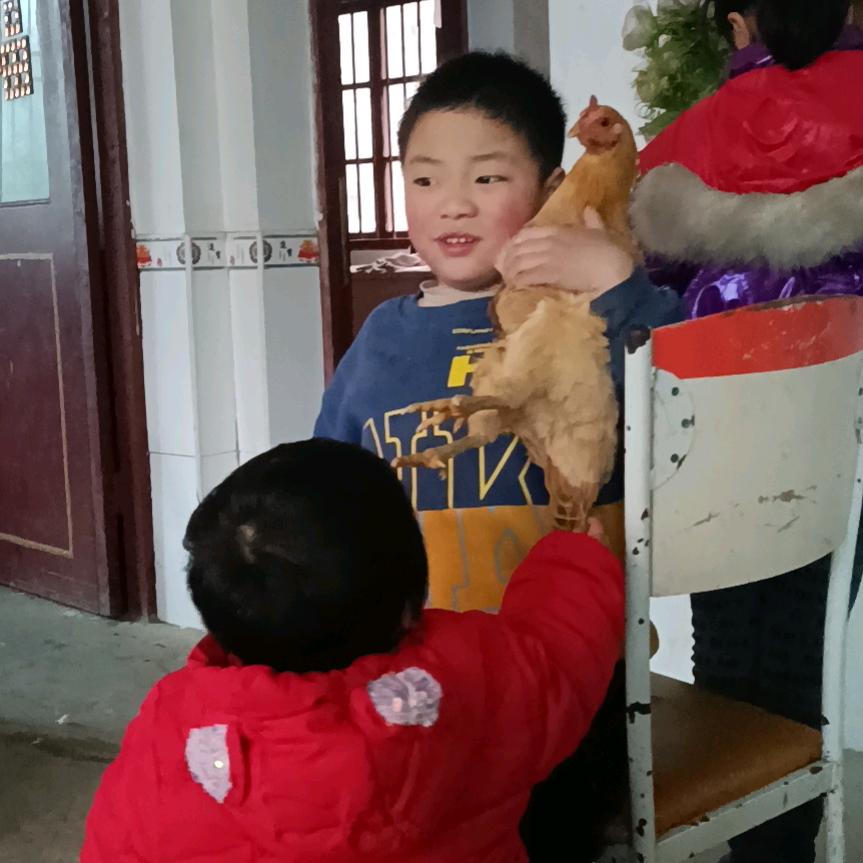 太阳花呗