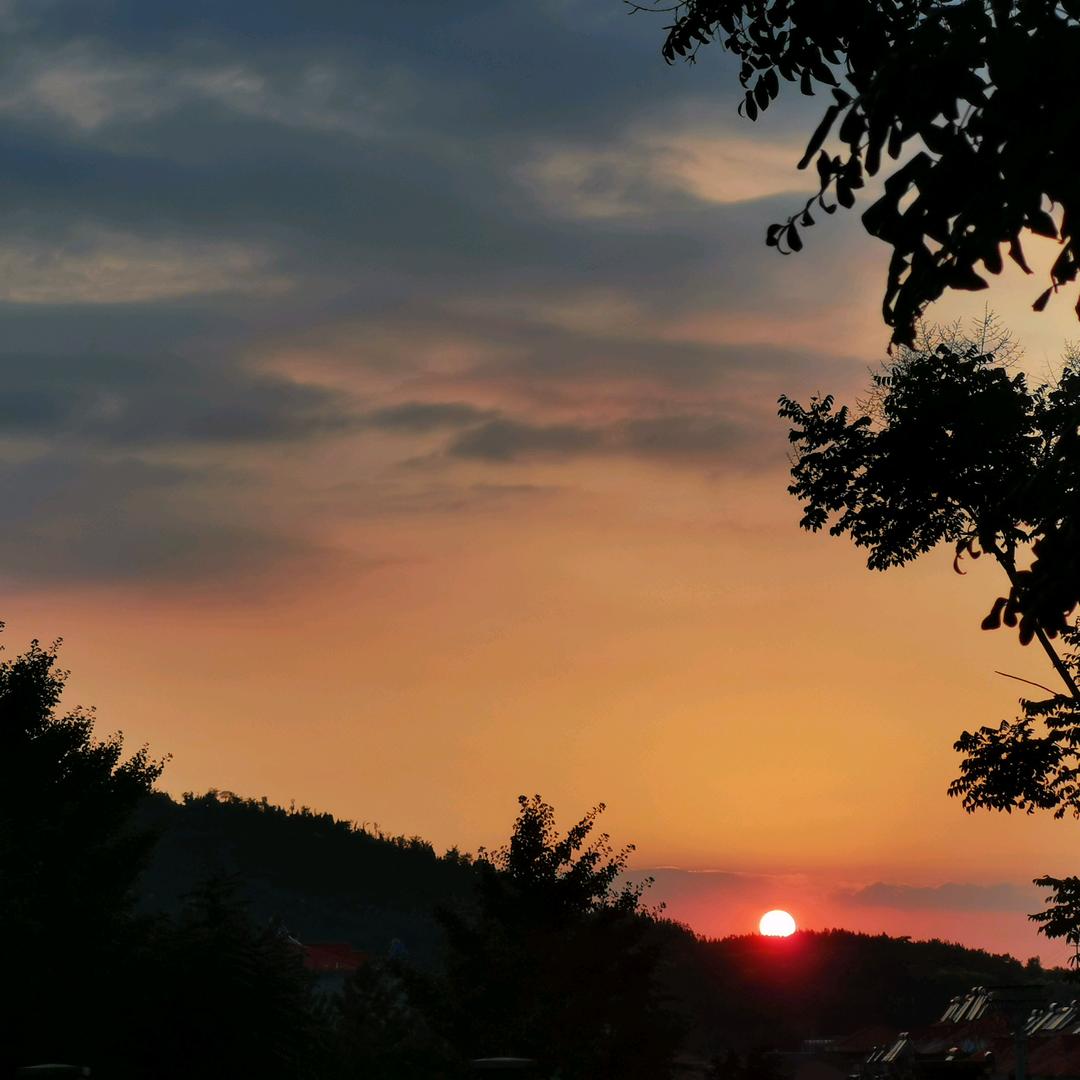 夜落朦空🔆       🕷