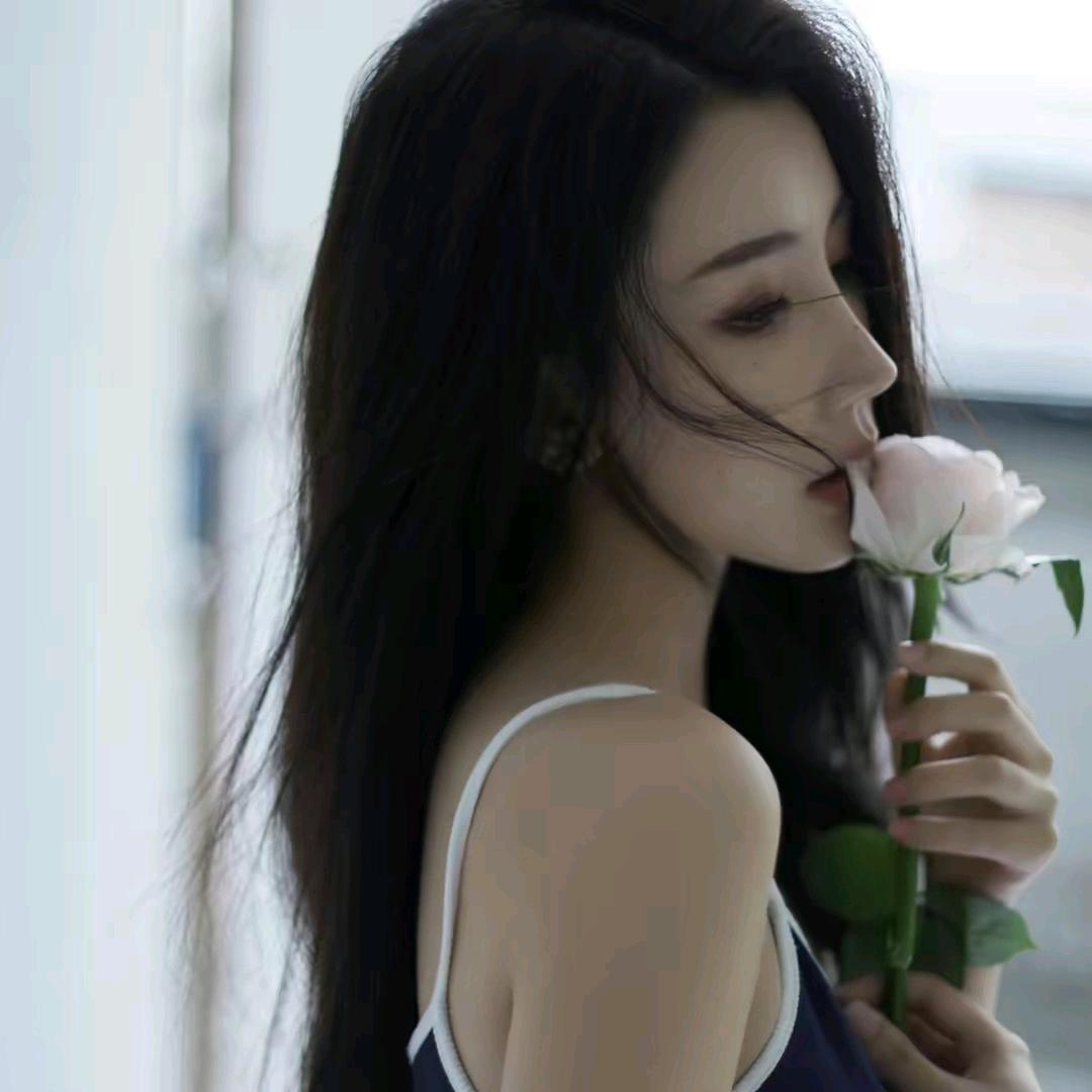 泡泡的精彩生活