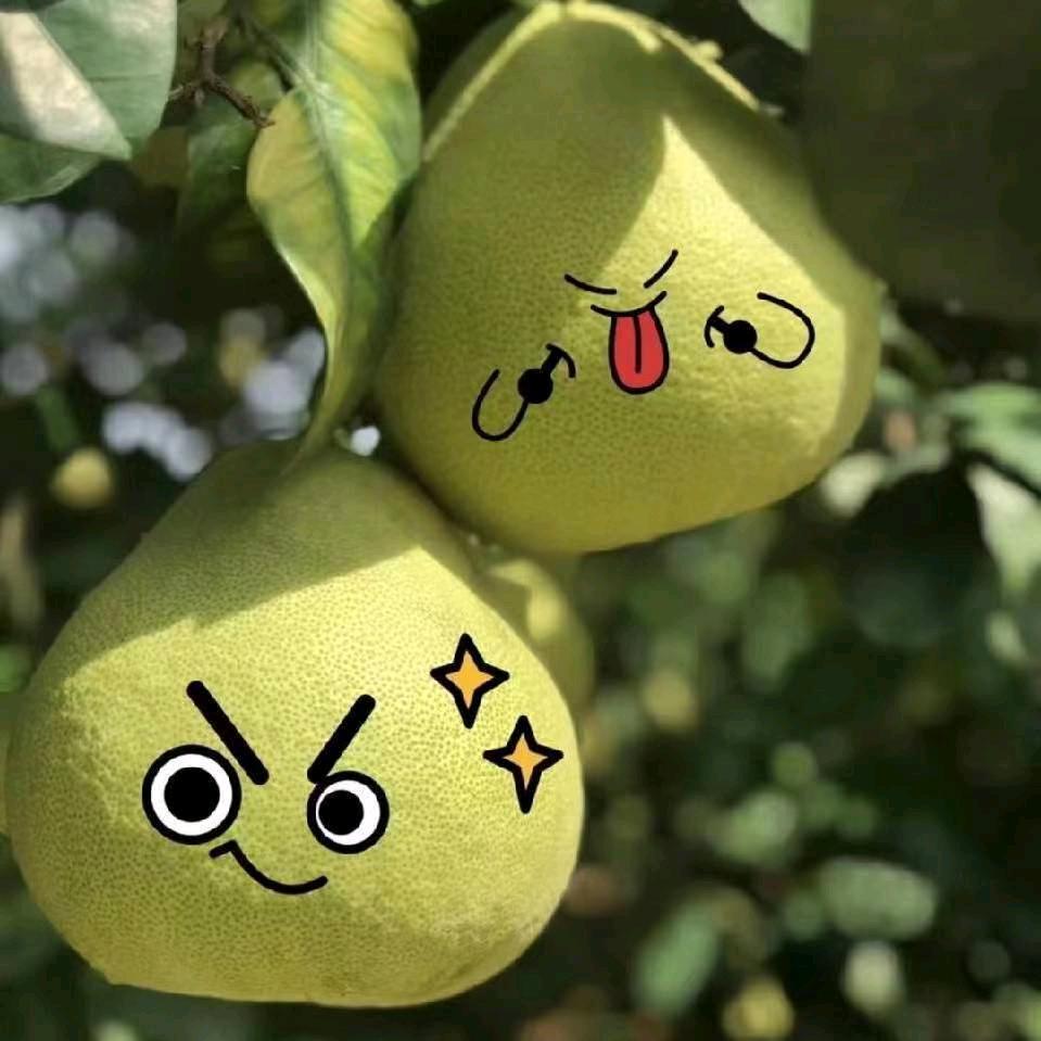 柚来了水果农场