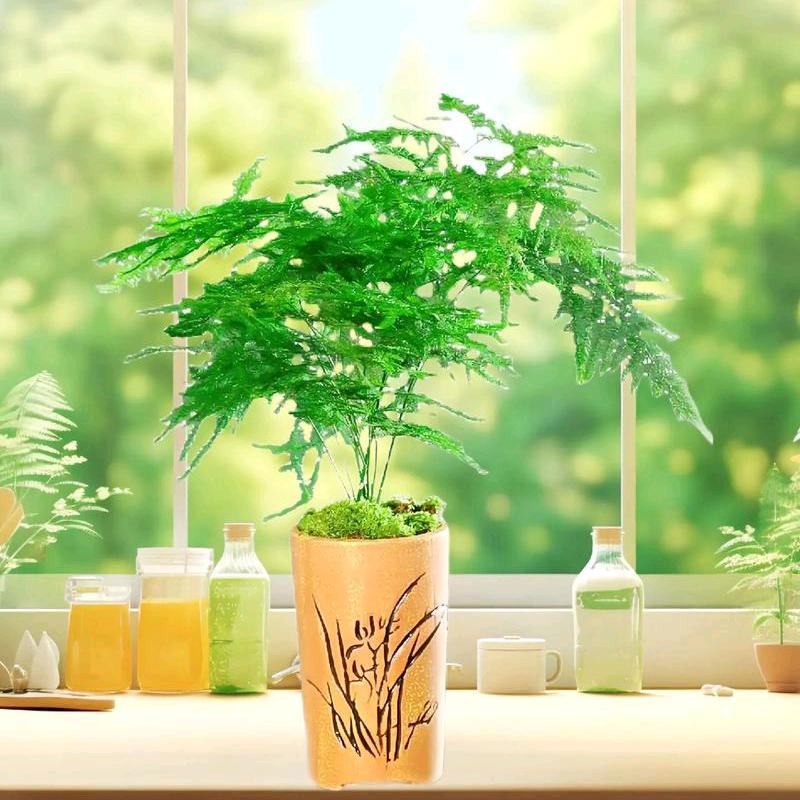种植庭院