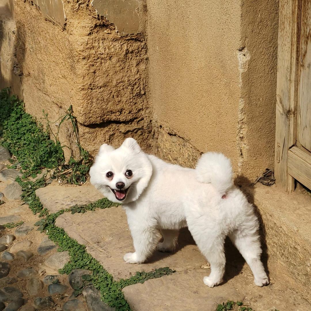 🤪