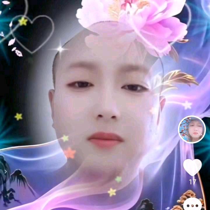 🌺宁静致远😊