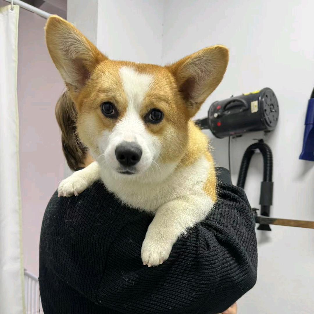 卡拉咪