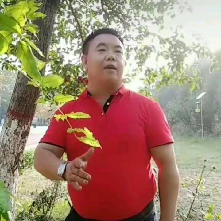 张弟兄《天缘诗歌》集