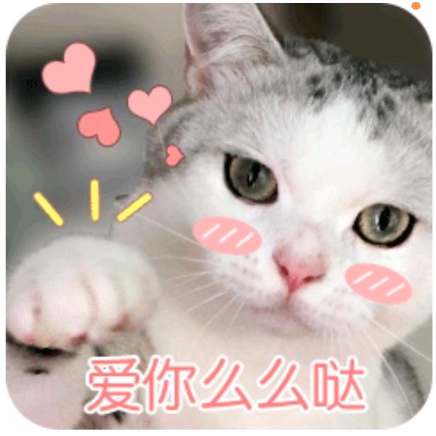 真善美