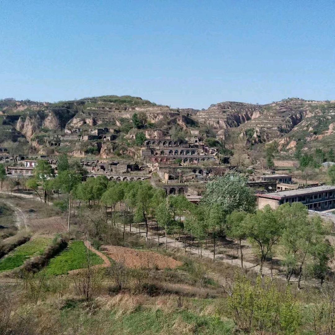 特别的爱特别的爱给了特别的你