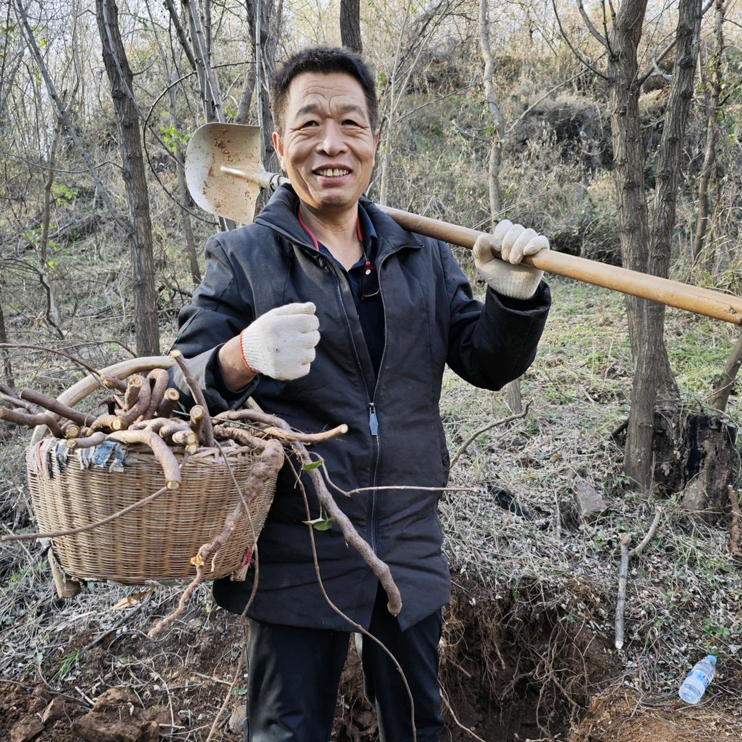 老马带您识百草(二)
