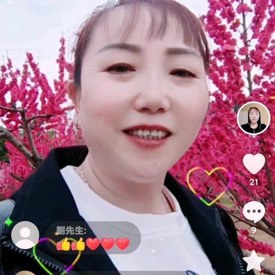 春暖花开