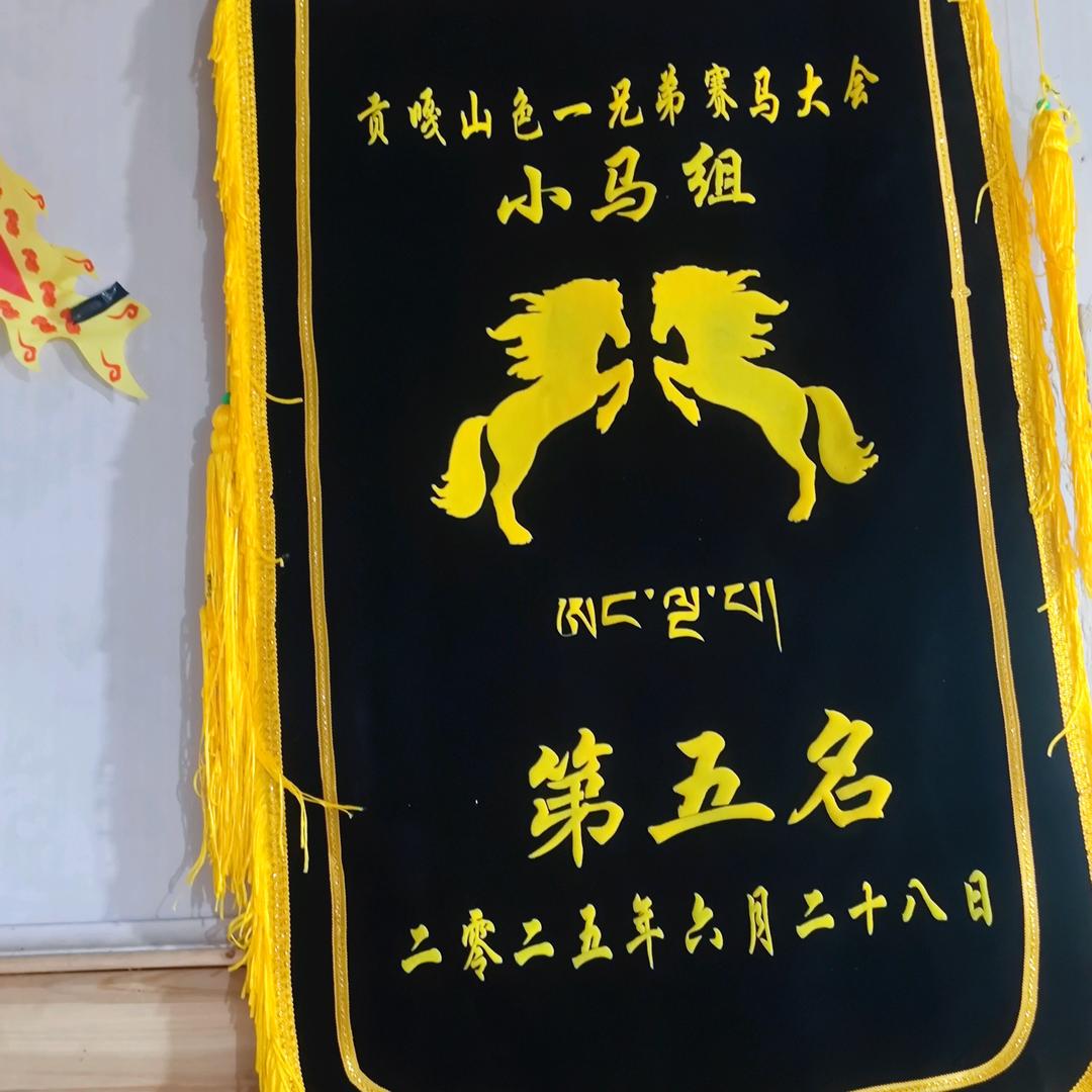 永远开心1376