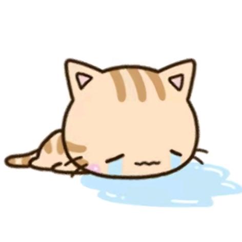 小猫雨