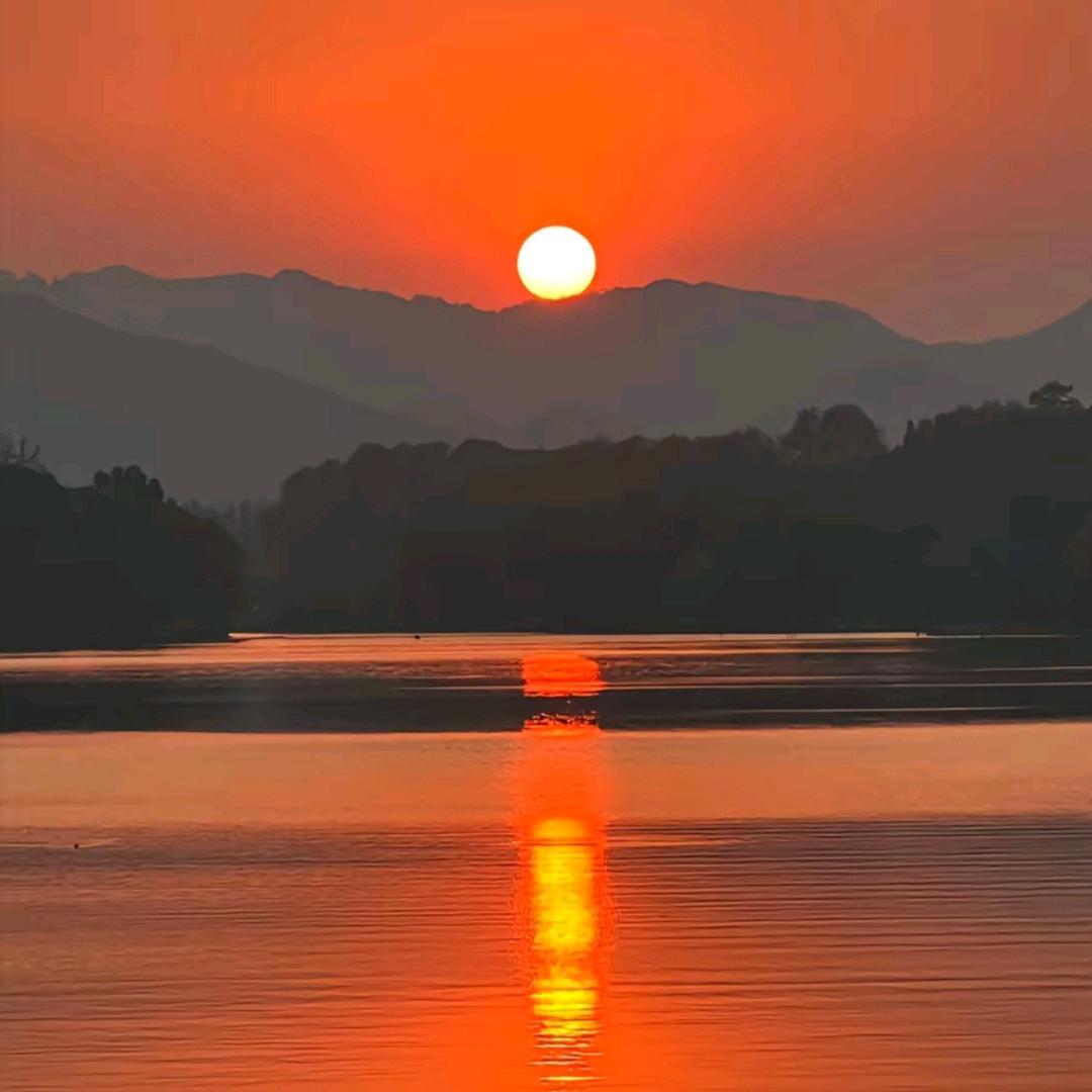 洋槐蜜（大观园）