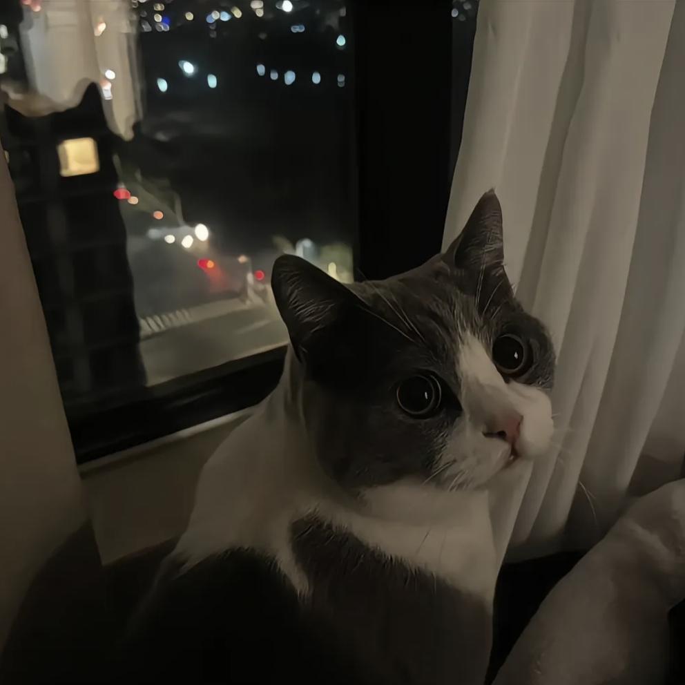 升学规划择校指导