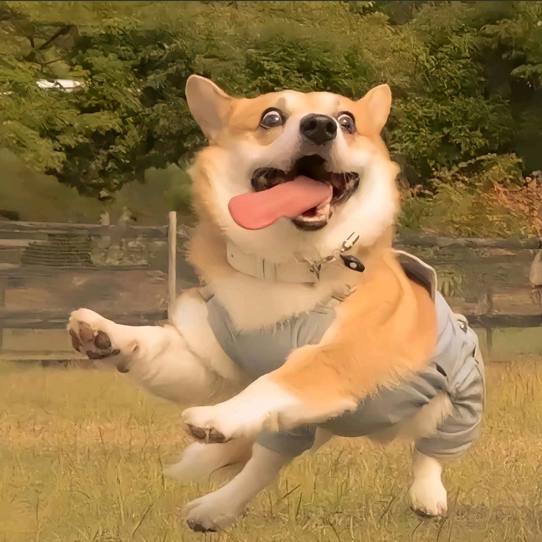 抓杰瑞的来福