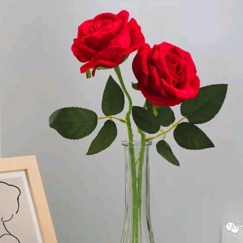 🌹珍惜余生🈶你🌹