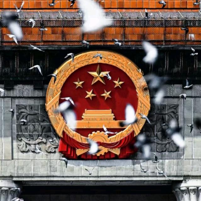 漫步🤡