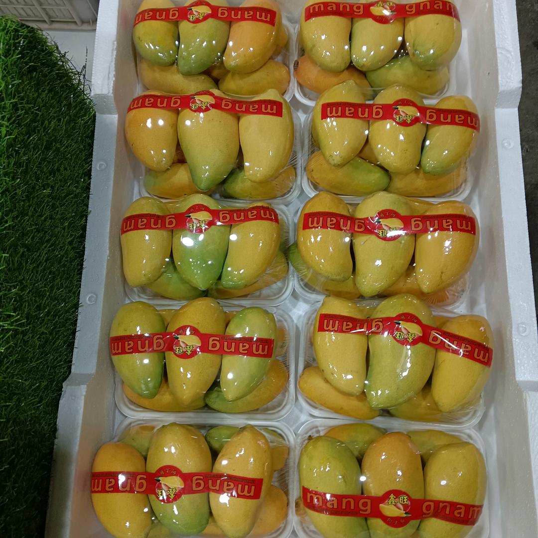 三个宝贝