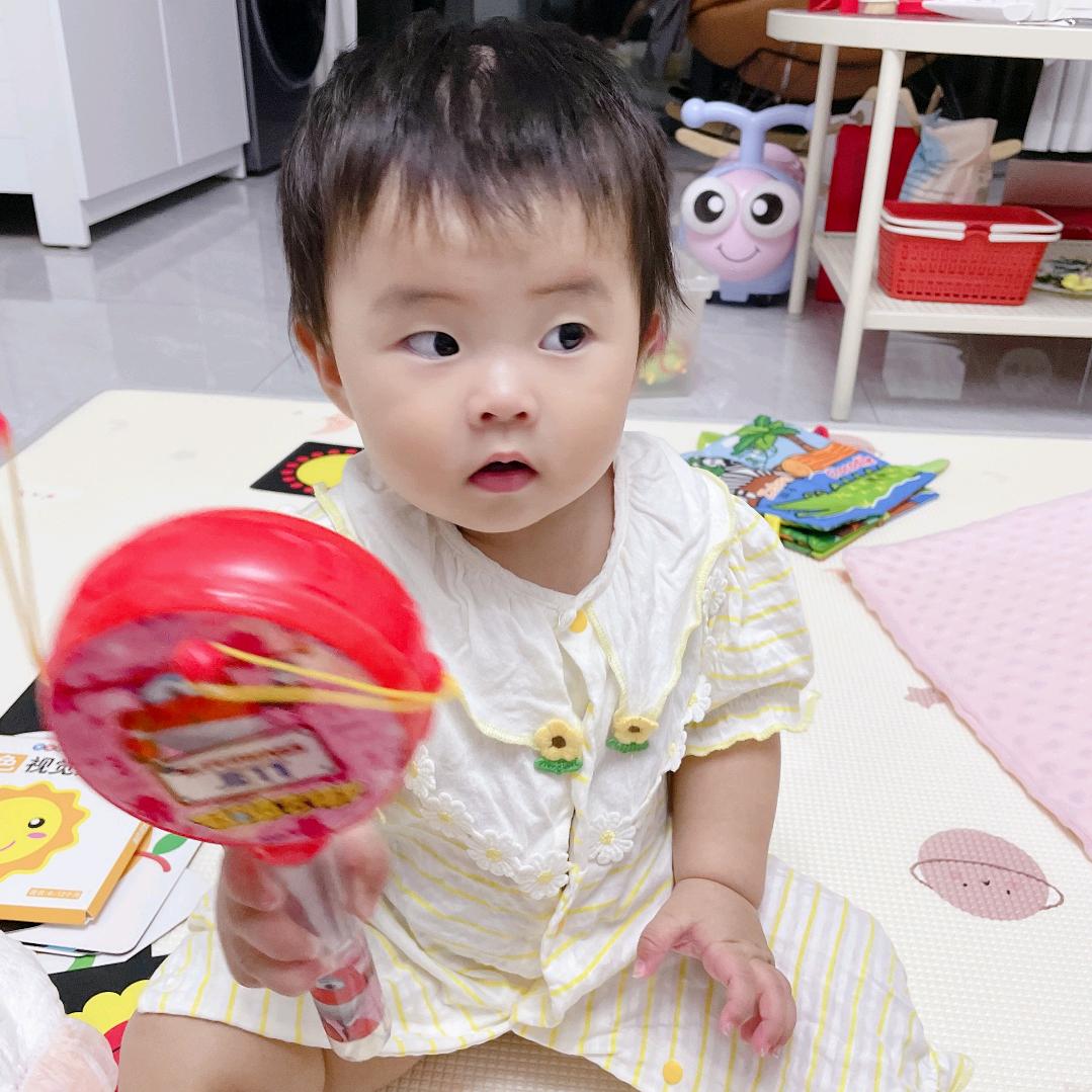 小浣熊总队长