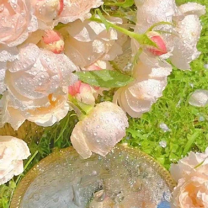 成都动未为经营号