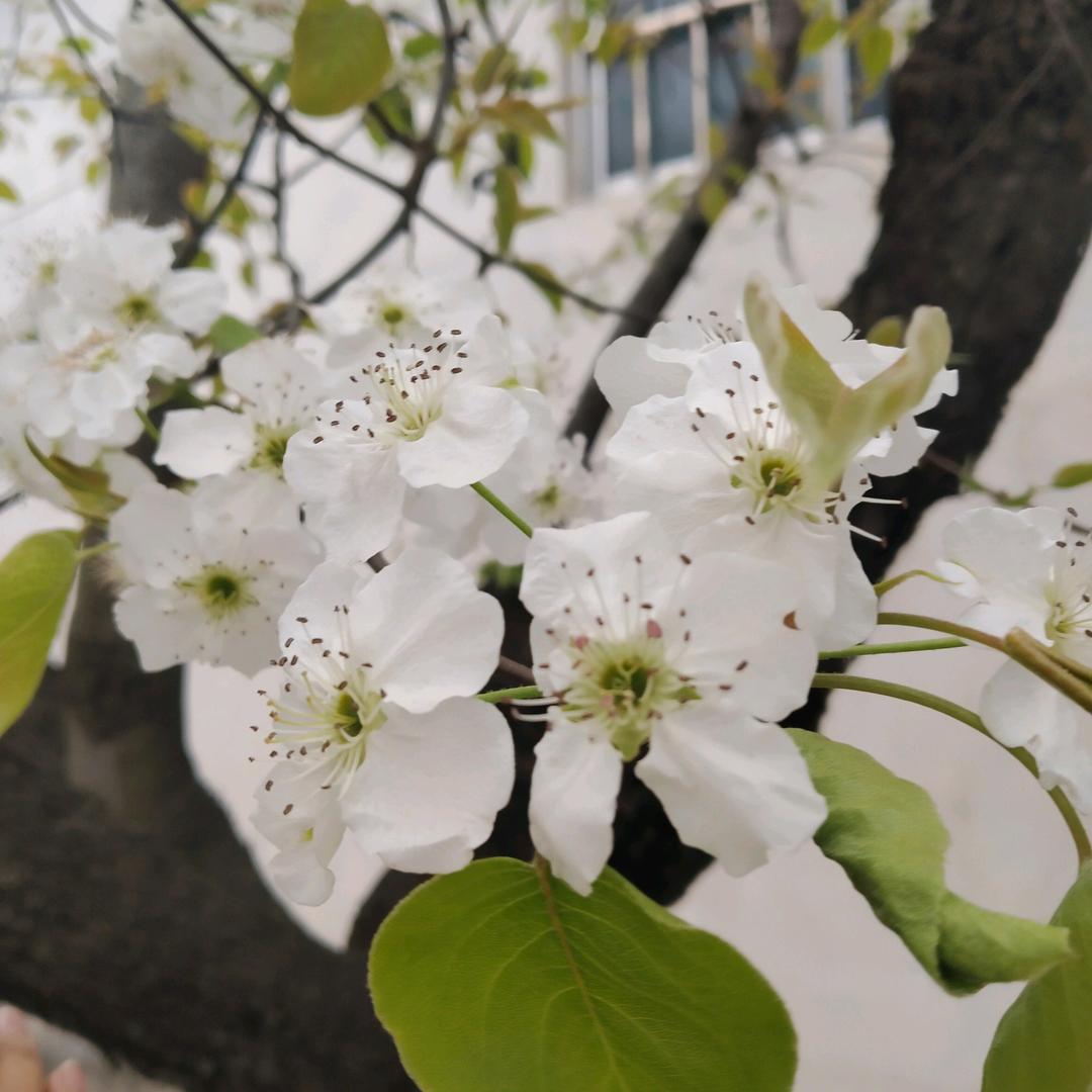 沫路