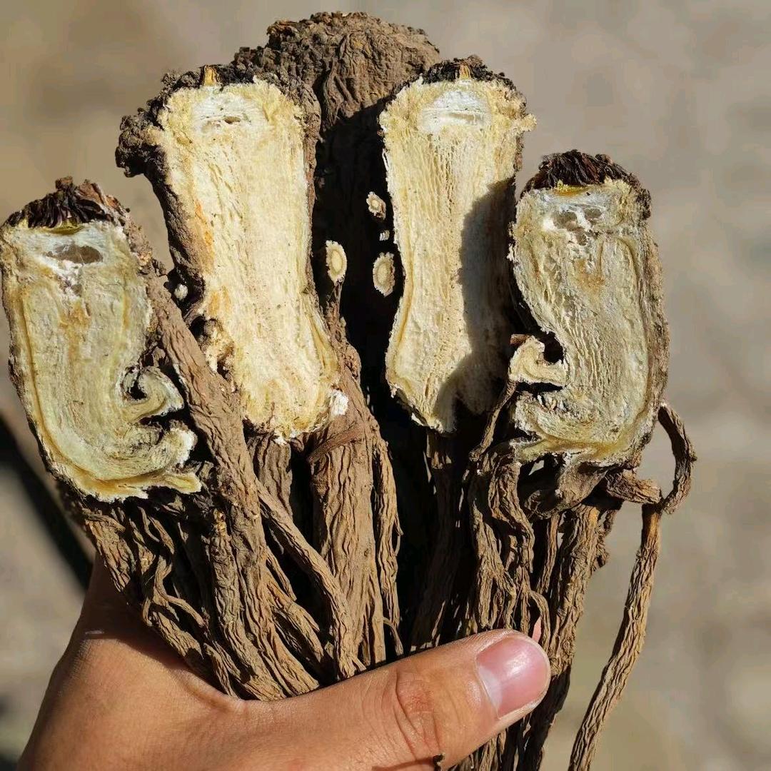 岷县玖养滋补养生店