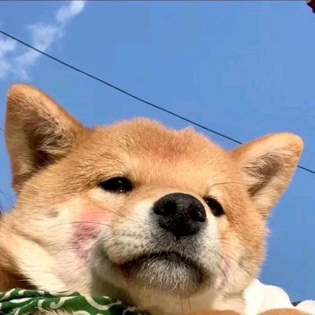 CHEN弟赐