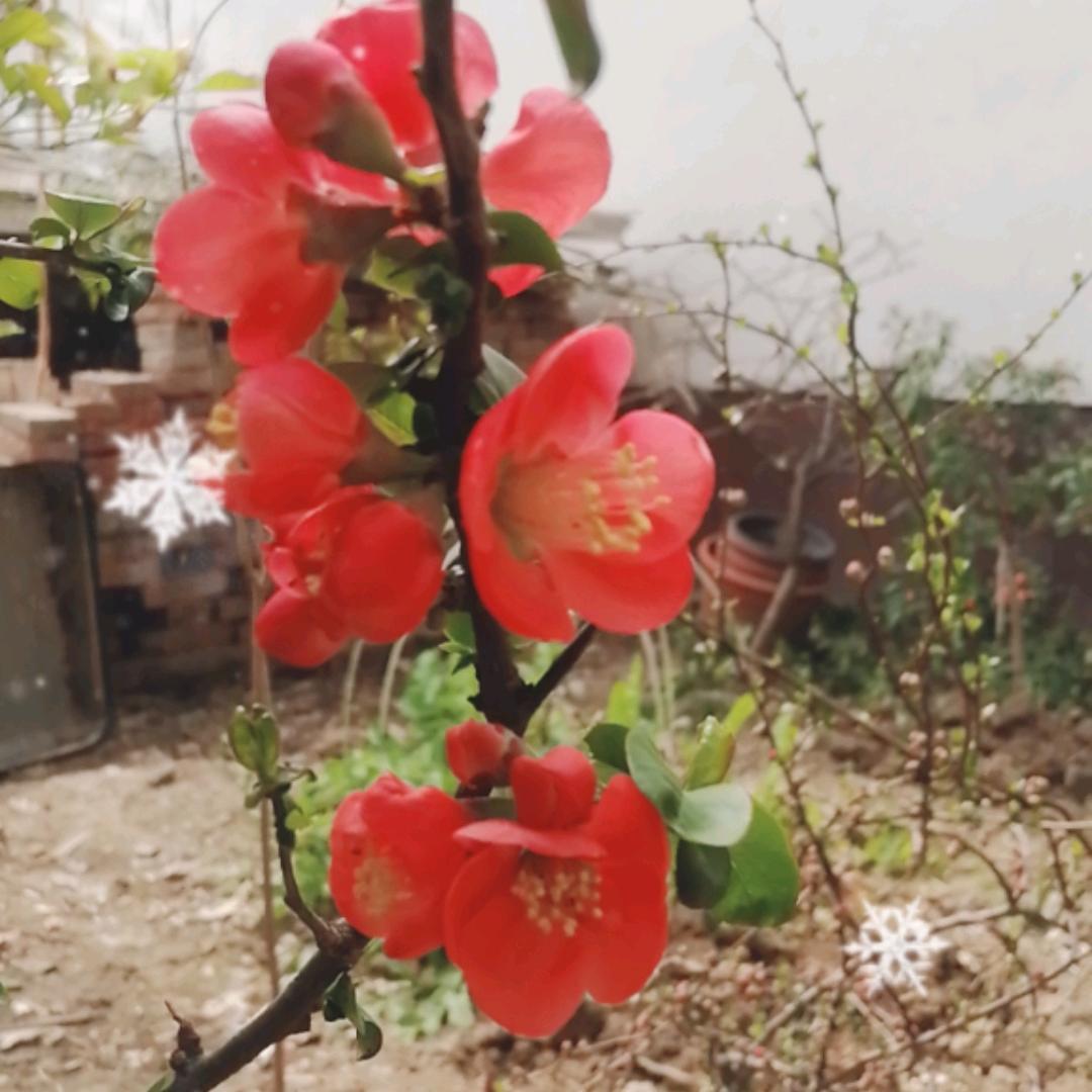 余生不将就👄
