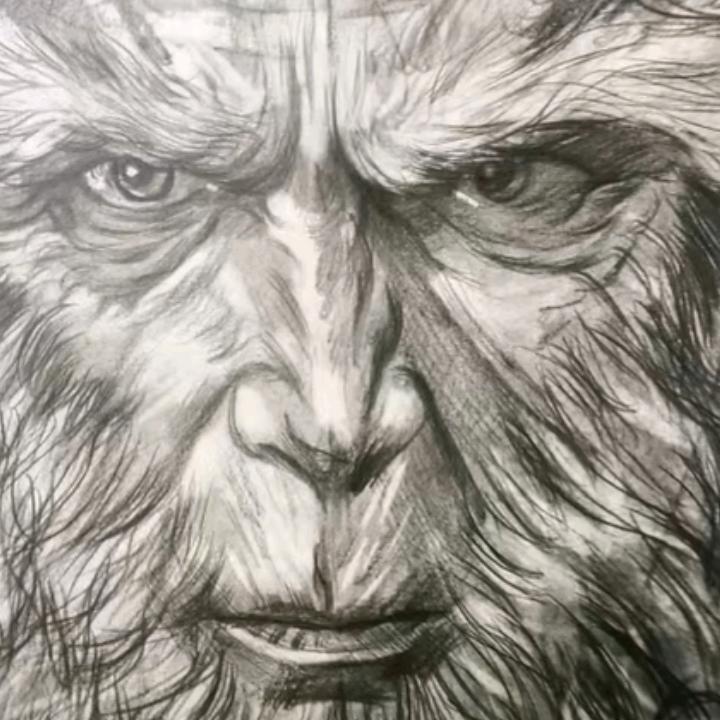 ✨小陈跑单不摸鱼✨