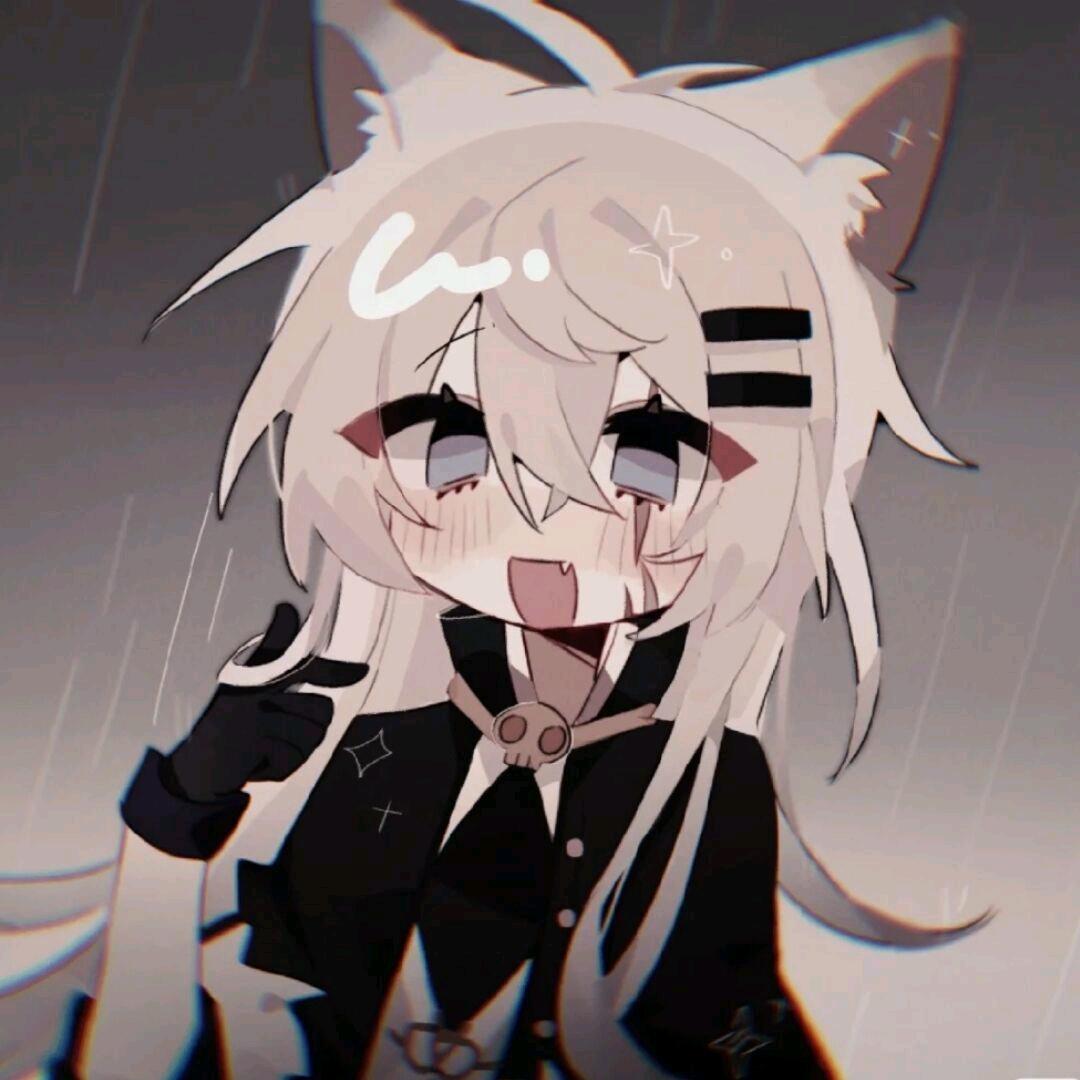 just小何呐