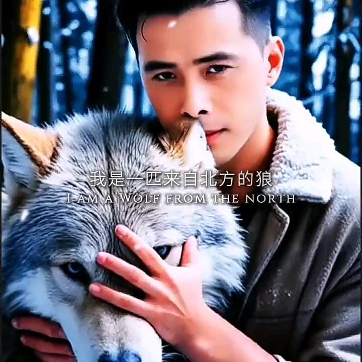 ༂狼行༒天下༃