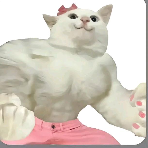 (￣へ￣)