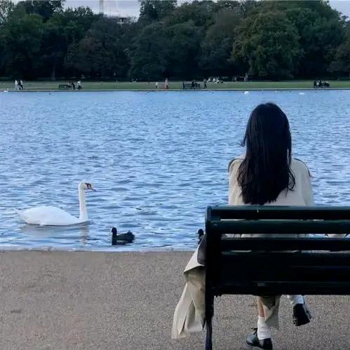 人间清醒🎁