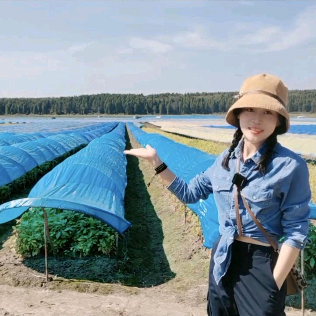 黄林特产高小庄