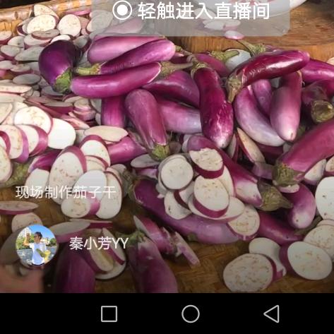 茉莉花