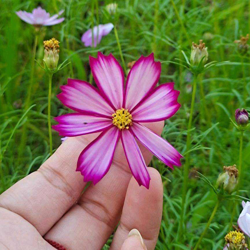 ღ᭄ꦿ꯭高云💞