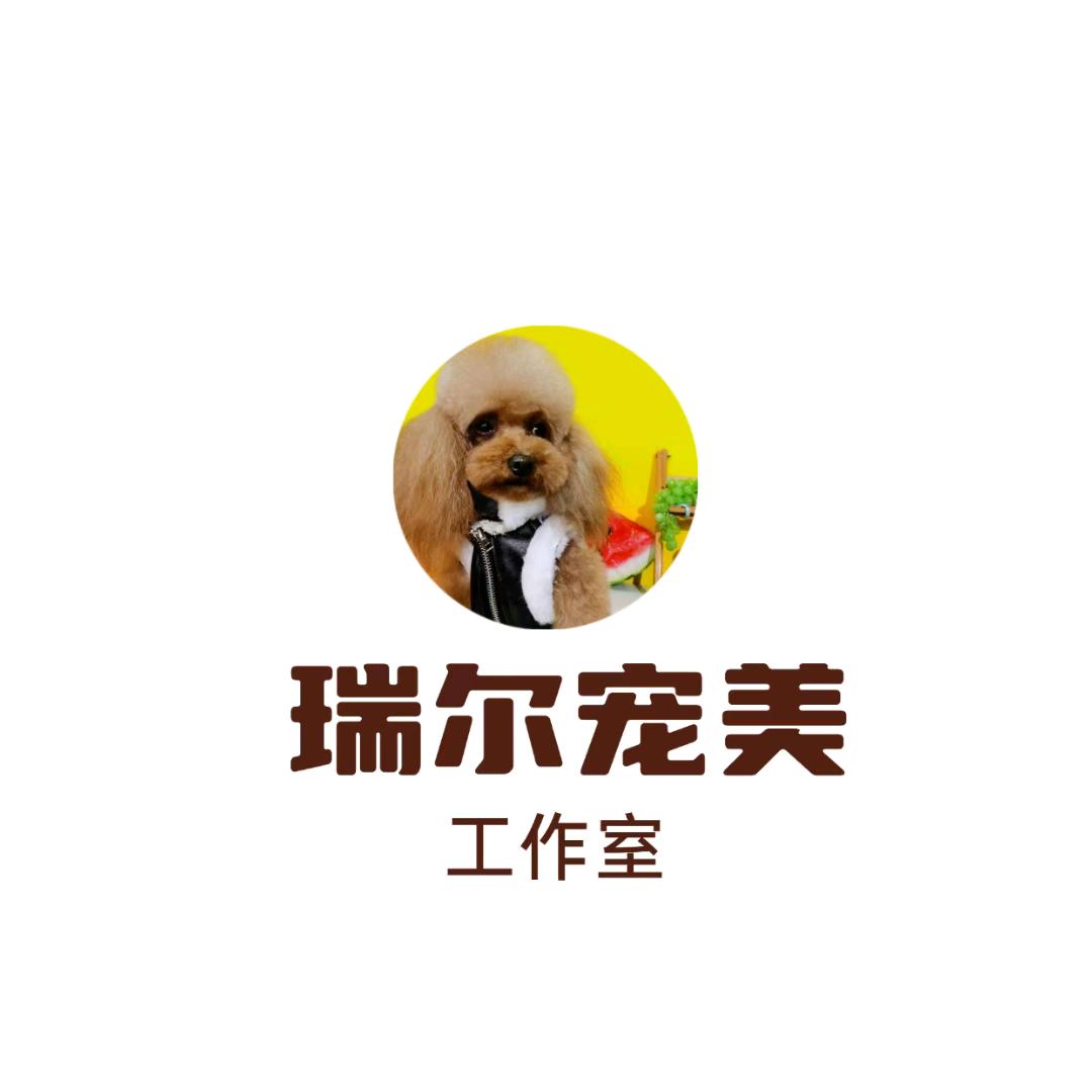 大政爱玩狗(美容😈活体)