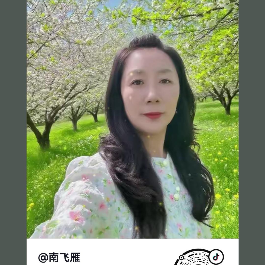 南飞雁