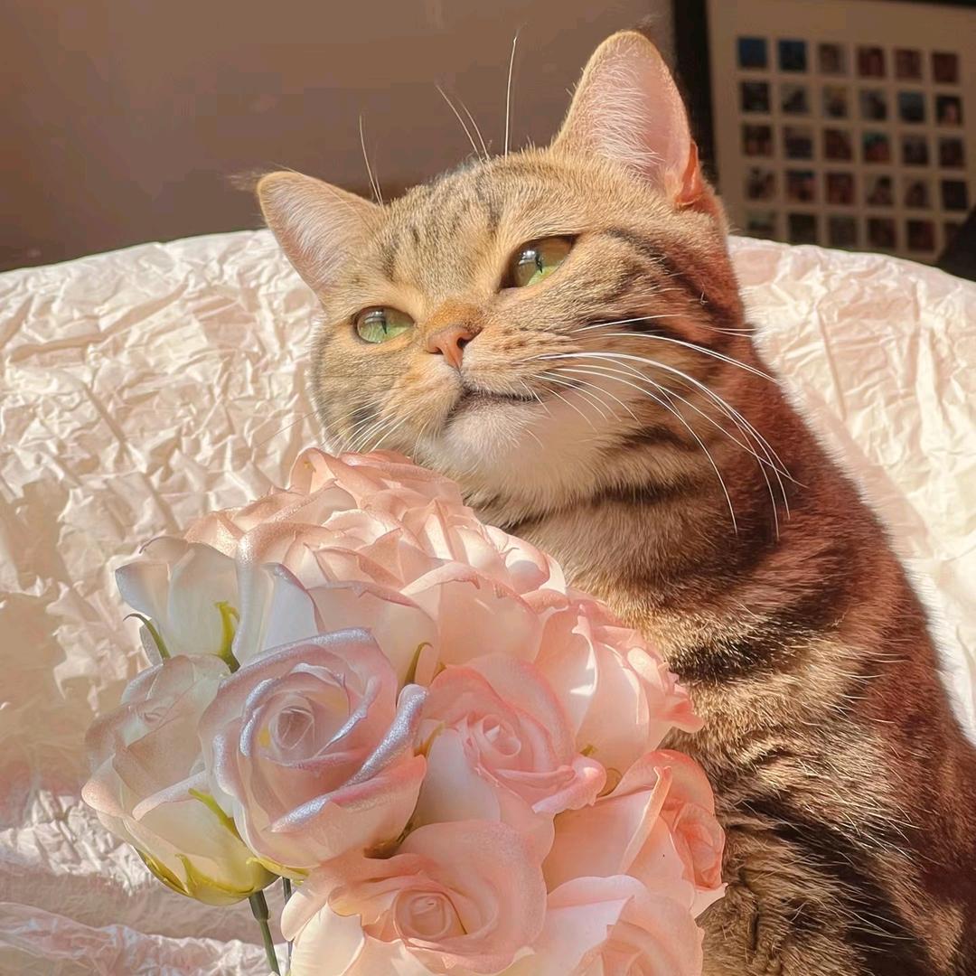 🌈yy水晶接好运🔮