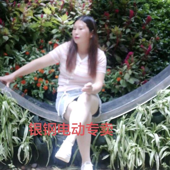 西流水-银钢电三车行