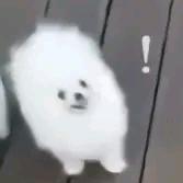 恋应