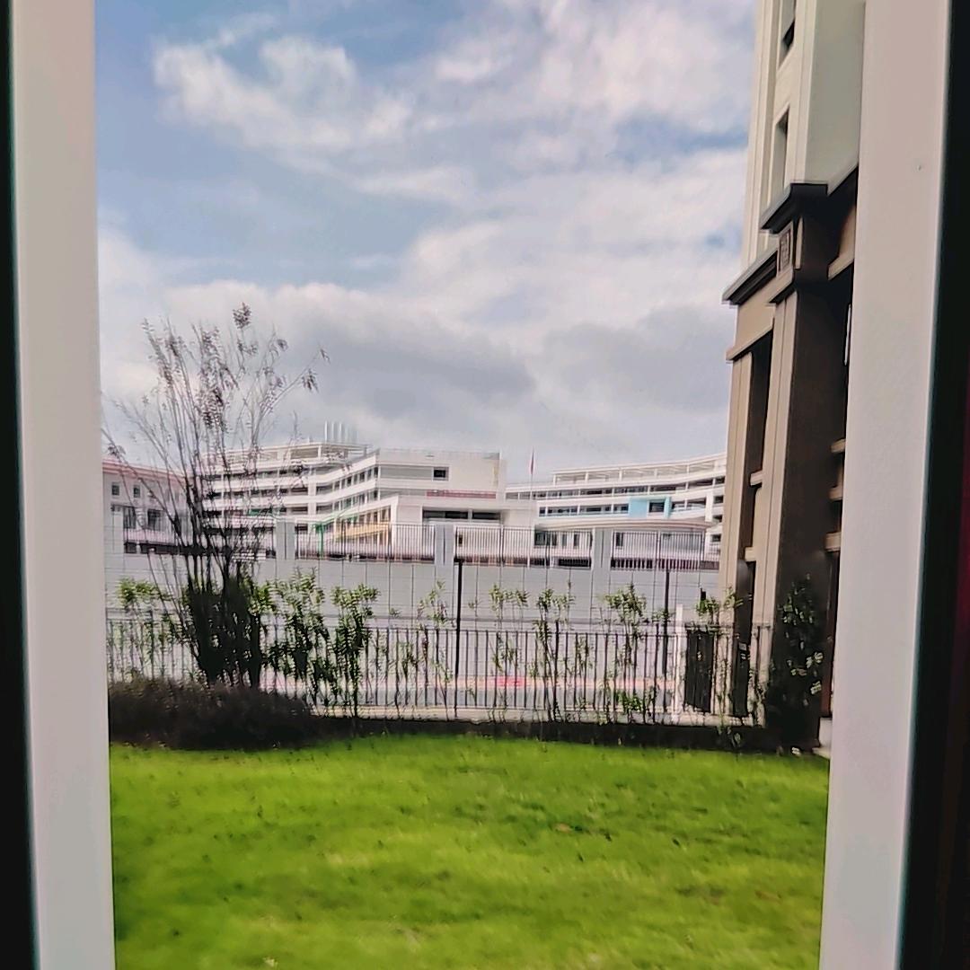 帮投票拉票小助手