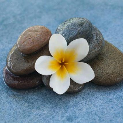 🍃繁花似锦🍀