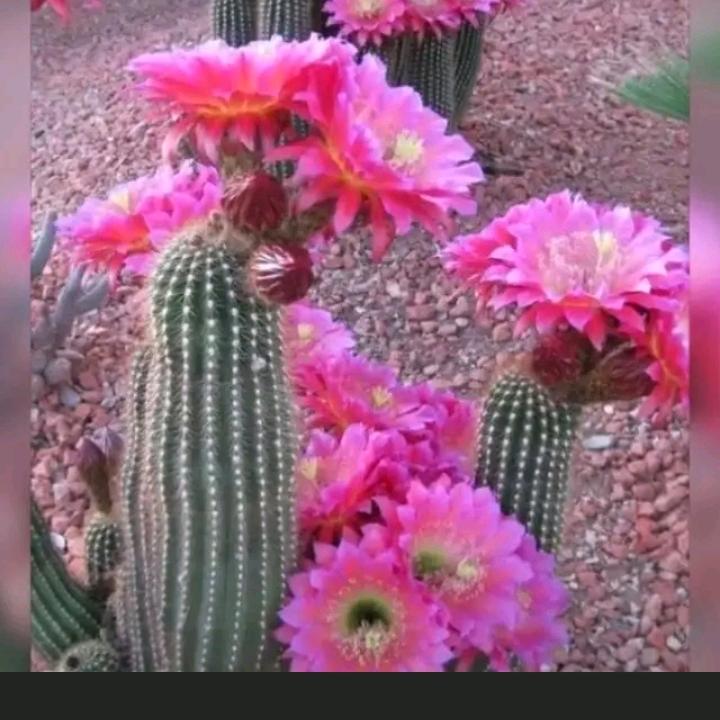 人随风动，努力挣钱