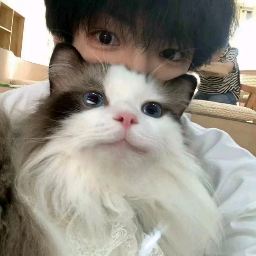 让风告诉你