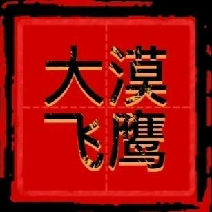 大漠飞鹰