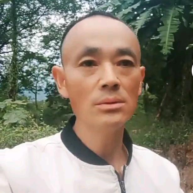 林哥（晚上20:30点开播）