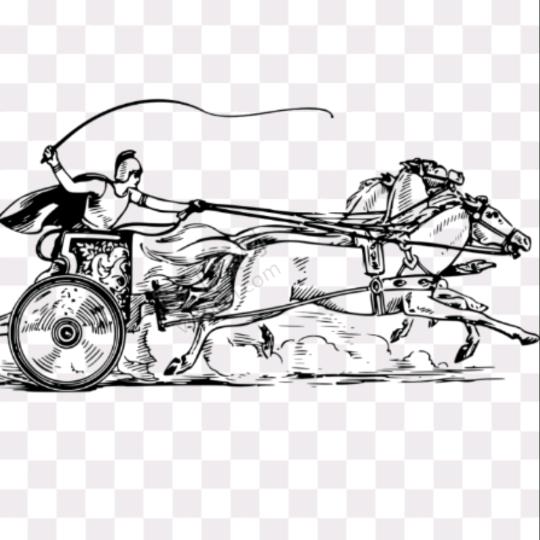 風馳の馬車🌴A0001